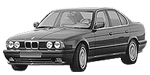 BMW E34 B16B5 Fault Code